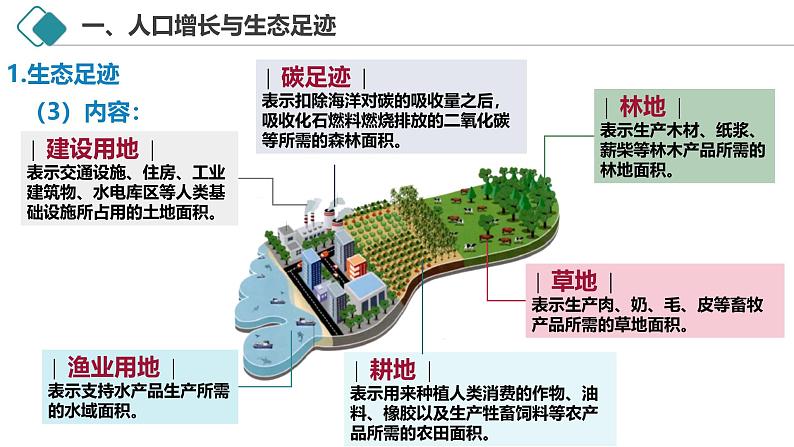 4.1 人类活动对生态环境的影响-2024-2025学年高二生物探究与应用优质备课课件（人教版2019选择性必修2）第6页