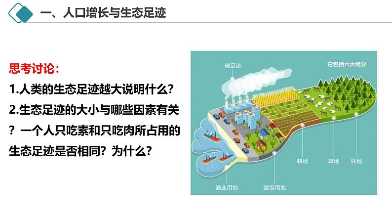 4.1 人类活动对生态环境的影响-2024-2025学年高二生物探究与应用优质备课课件（人教版2019选择性必修2）第7页