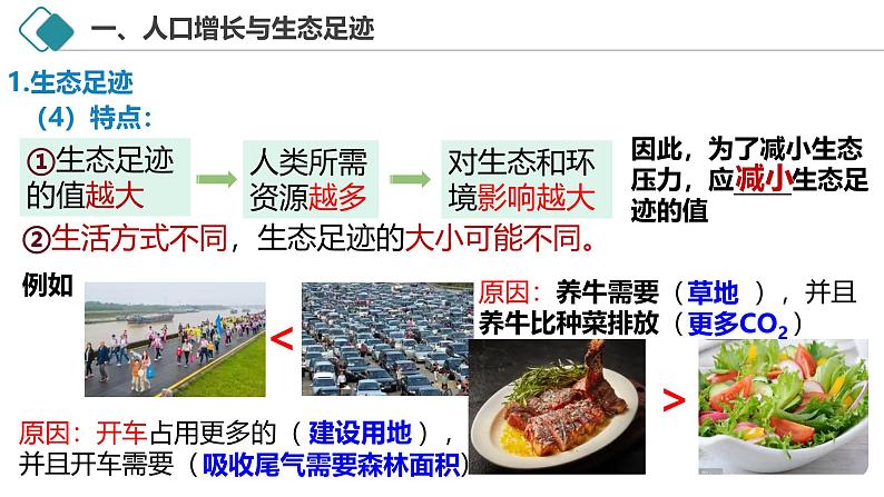 4.1 人类活动对生态环境的影响-2024-2025学年高二生物探究与应用优质备课课件（人教版2019选择性必修2）第8页