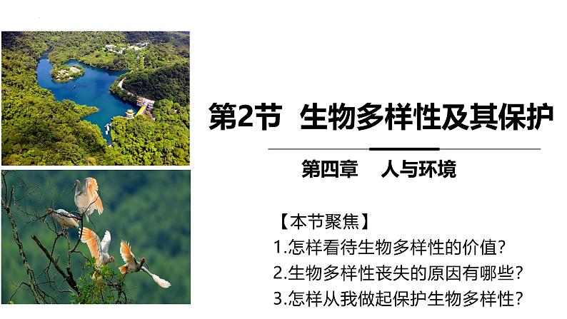 4.2 生物多样性及其保护-2024-2025学年高二生物探究与应用优质课件（人教版2019选择性必修2）第1页