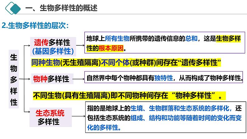 4.2 生物多样性及其保护-2024-2025学年高二生物探究与应用优质课件（人教版2019选择性必修2）第4页