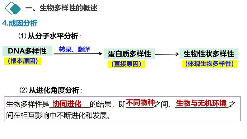 4.2 生物多样性及其保护-2024-2025学年高二生物探究与应用优质课件（人教版2019选择性必修2）第6页