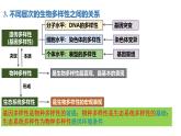4.2 生物多样性及其保护-2024-2025学年高二生物优质课件（人教版2019选择性必修2)