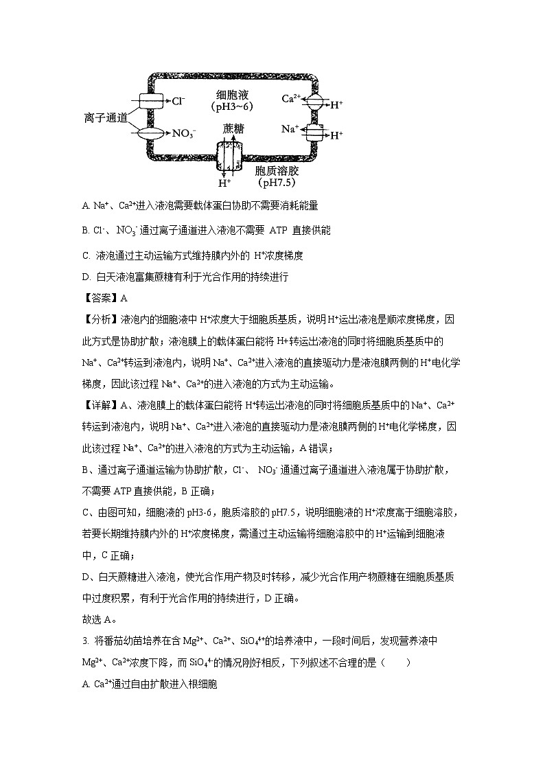辽宁省锦州市某校2024-2025学年高三上第三次考试月考生物试卷(解析版)第2页