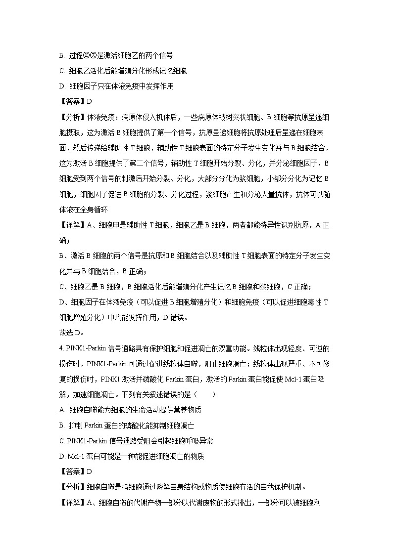 辽宁省抚顺市省重点高中六校协作体2024-2025学年高三(上)期末考试（二模）生物试卷（解析版）第3页