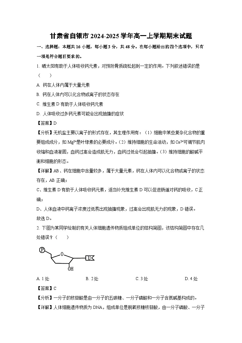 甘肃省白银市2024-2025学年高一(上)期末生物试卷（解析版）第1页