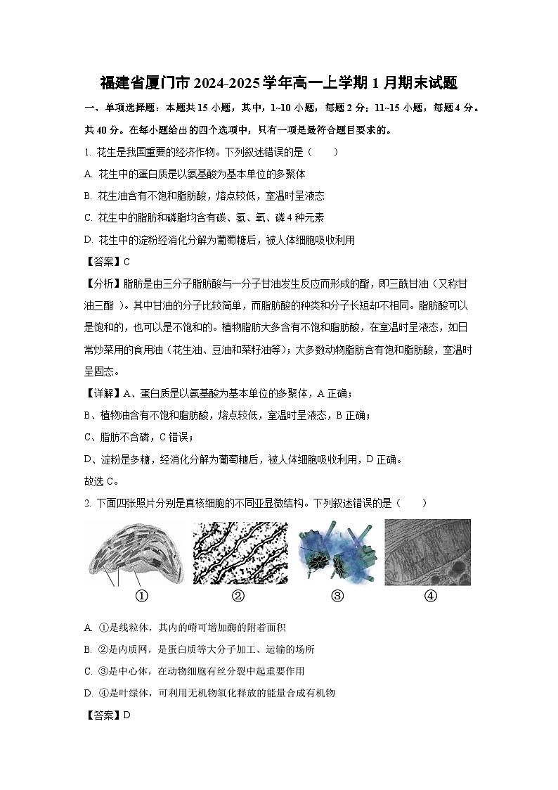 福建省厦门市2024-2025学年高一上学期1月期末生物试卷（解析版）第1页