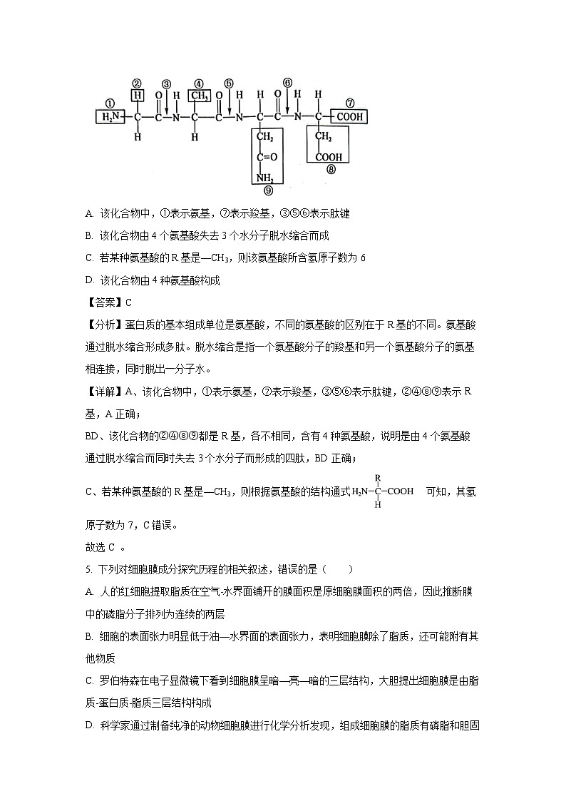 甘肃省酒泉市2024-2025学年高一(上)期末考试生物试卷（解析版）第3页