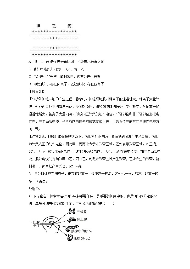 甘肃省2024-2025学年高二(上)期末学业质量监测生物试卷（解析版）第3页