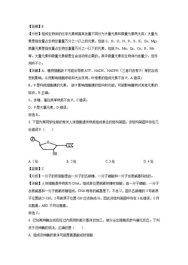 湖南省衡阳市祁东县2024-2025学年高一上学期1月期末生物试卷（解析版）第3页