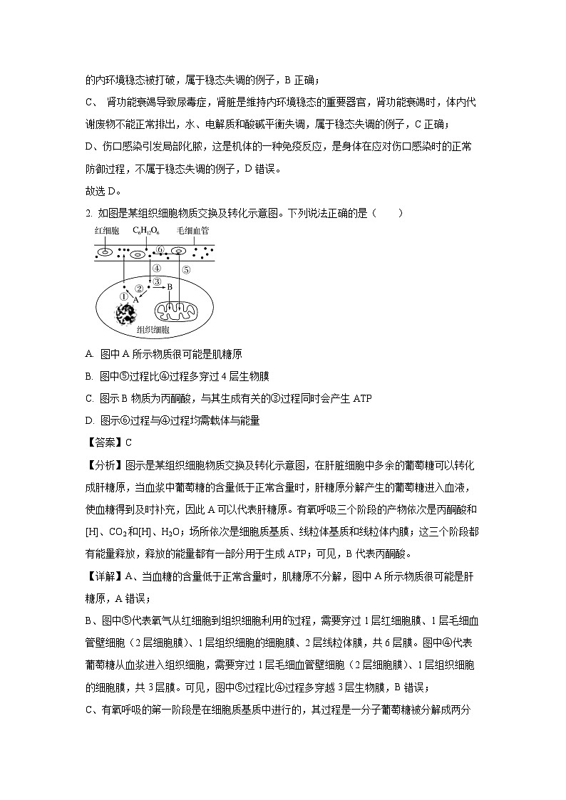 湖北省随州市部分高中2024-2025学年高二上1月期末联考生物试卷(解析版)第2页