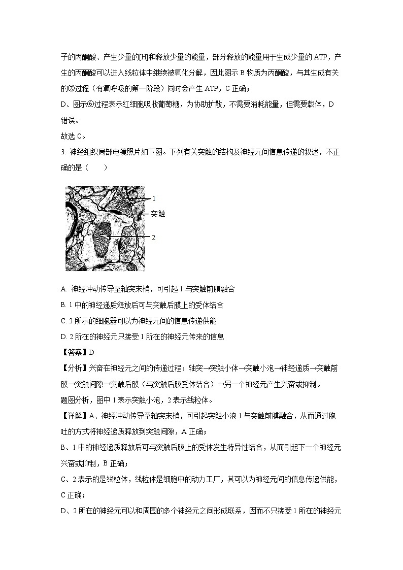 湖北省随州市部分高中2024-2025学年高二上1月期末联考生物试卷(解析版)第3页