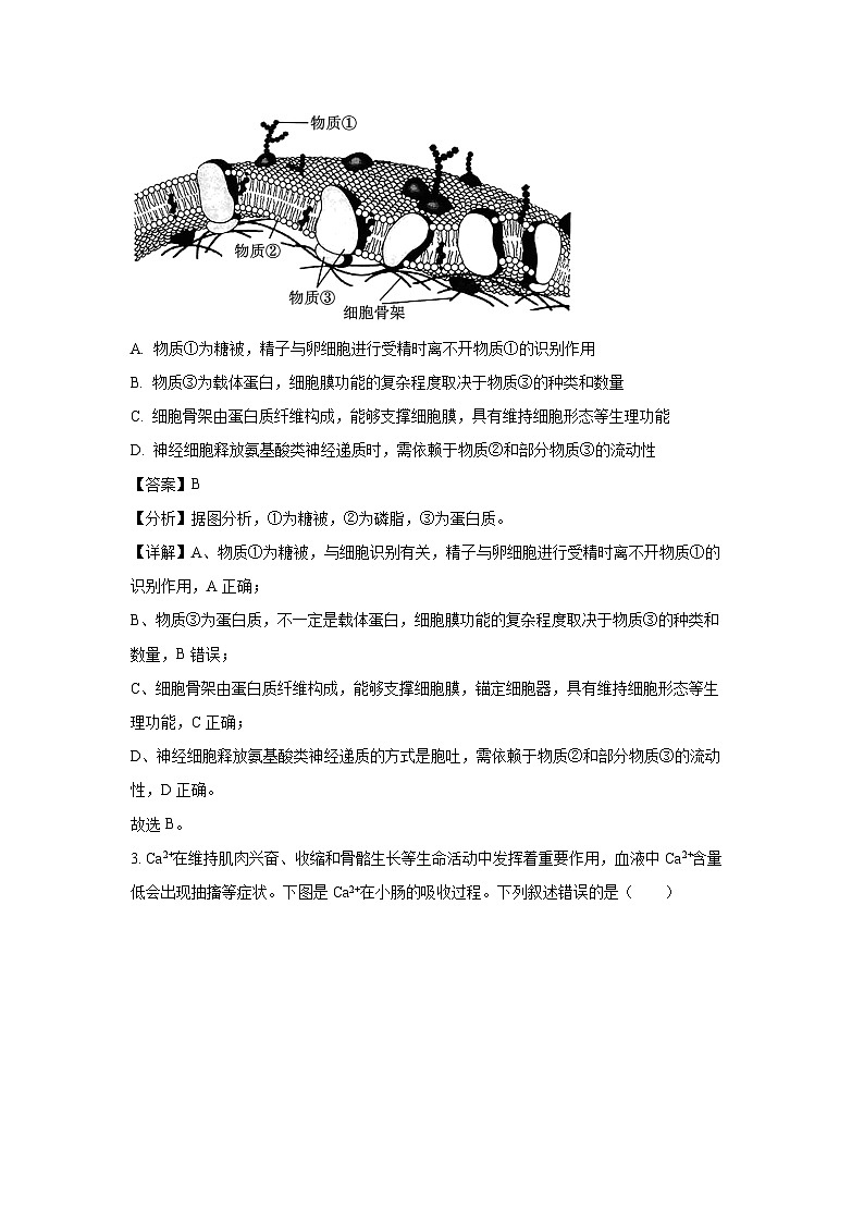 湖北省随州市2024-2025学年高三(上)1月期末考试生物试卷（解析版）第2页