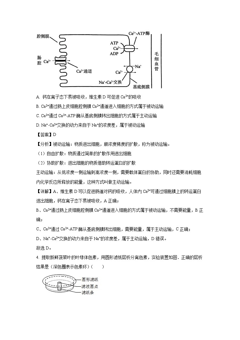 湖北省随州市2024-2025学年高三(上)1月期末考试生物试卷（解析版）第3页