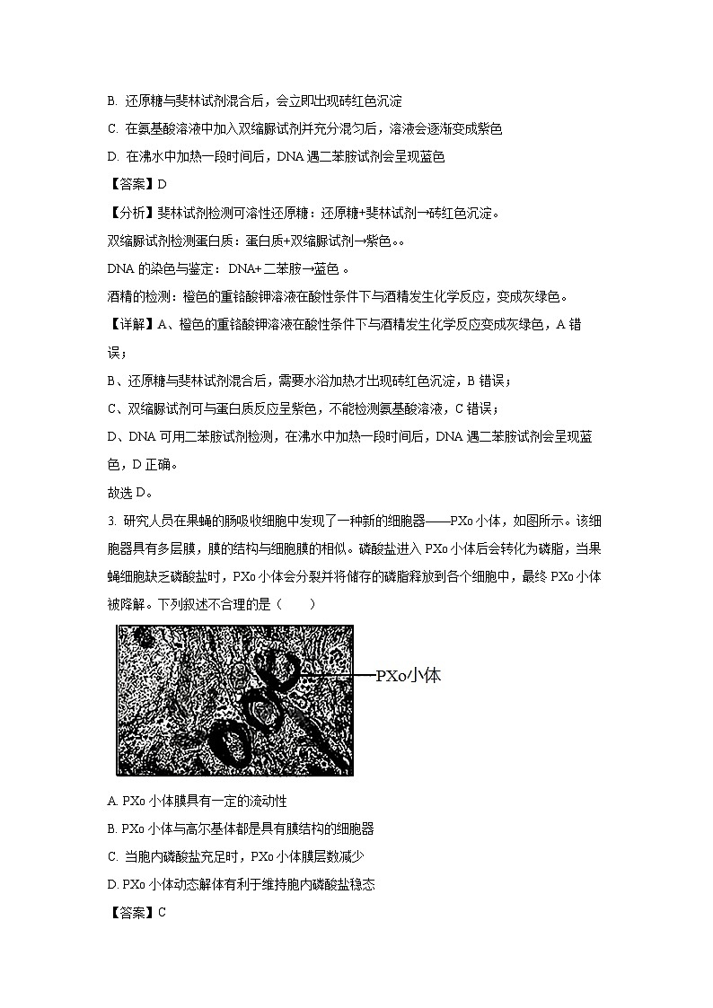 湖北省部分学校2024-2025学年高三上12月联考生物试卷(解析版)第2页