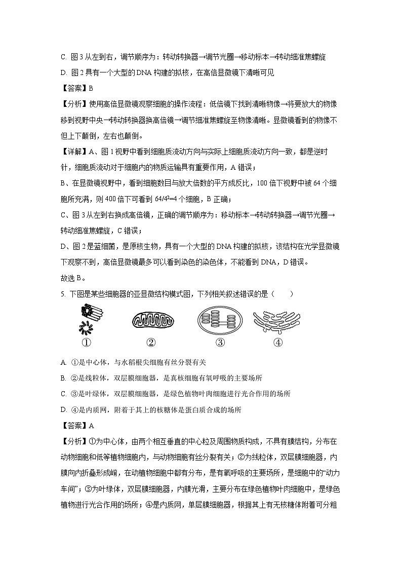 湖北省武汉市问津教育联合体联考2024-2025学年高一上学期12月月考生物试卷（解析版）第3页