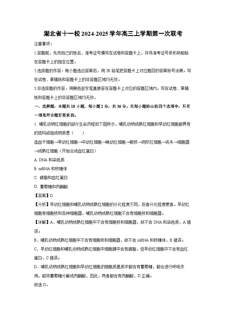 湖北省十一校2024-2025学年高三上第一次联考月考生物试卷(解析版)第1页