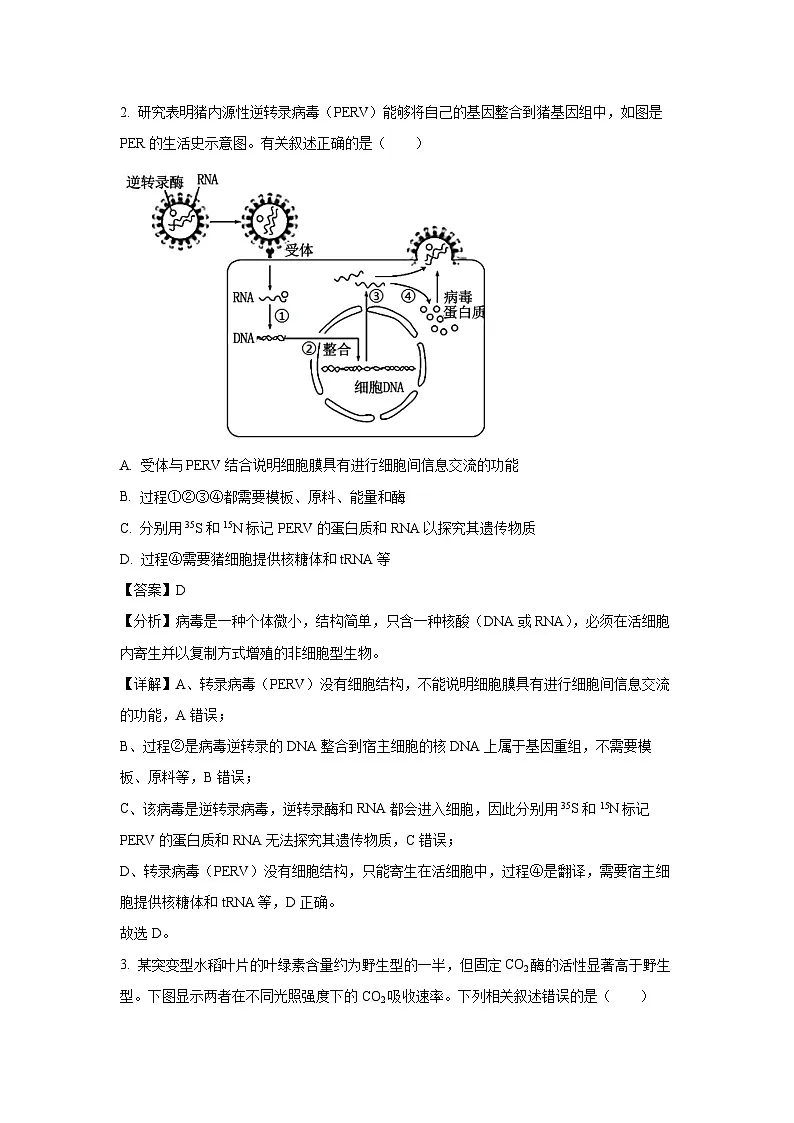 湖北省十一校2024-2025学年高三上第一次联考月考生物试卷(解析版)第2页
