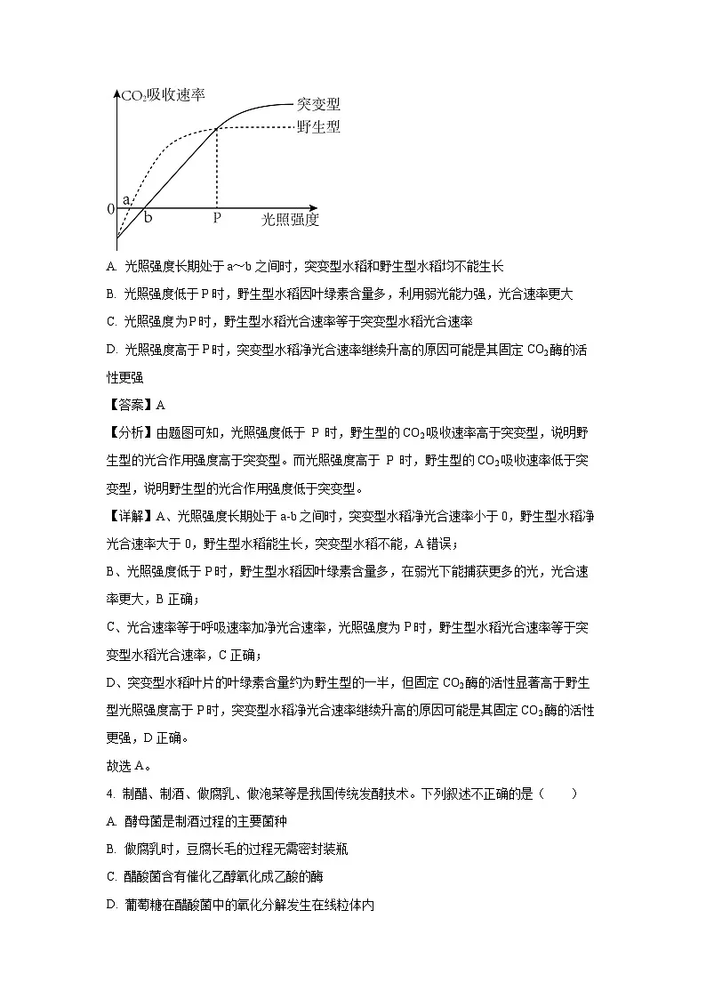 湖北省十一校2024-2025学年高三上第一次联考月考生物试卷(解析版)第3页