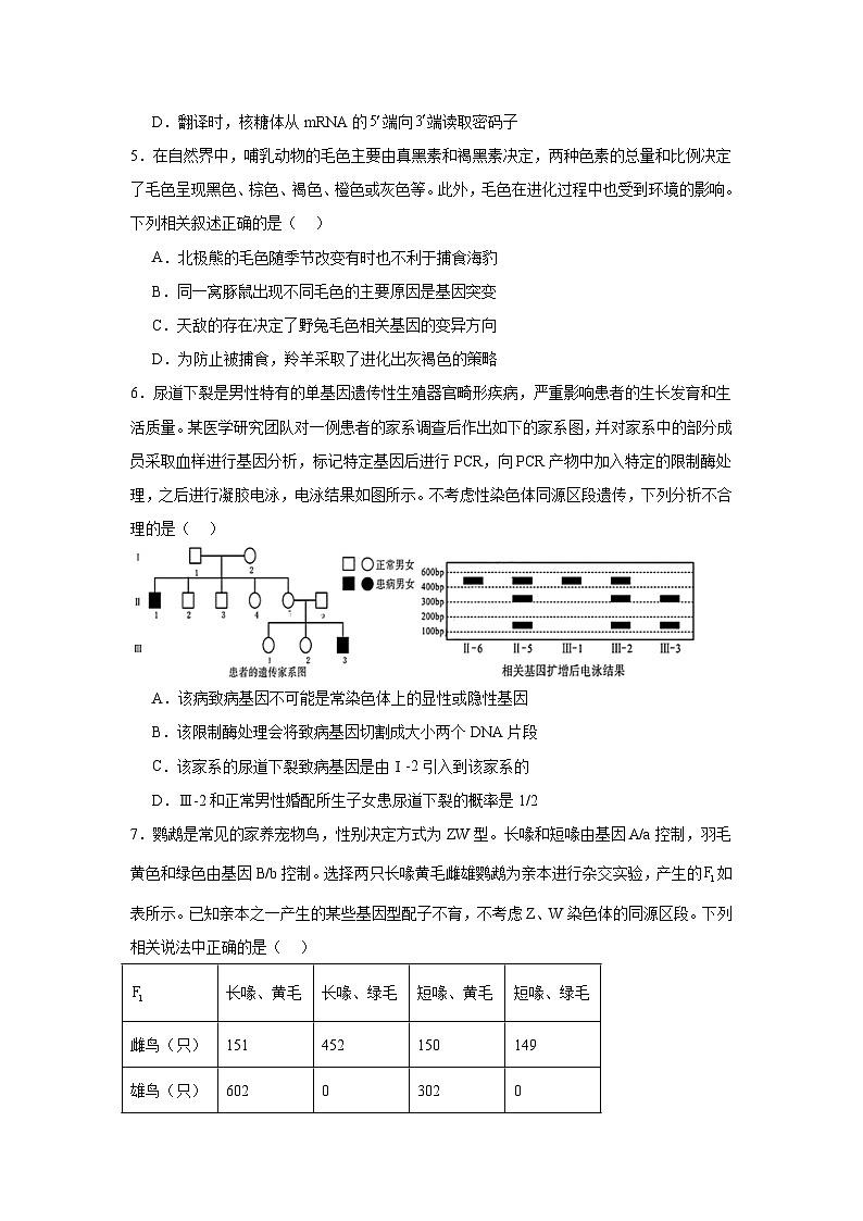 2025届四川省德阳市高三质量监测考试（二）生物试题第2页