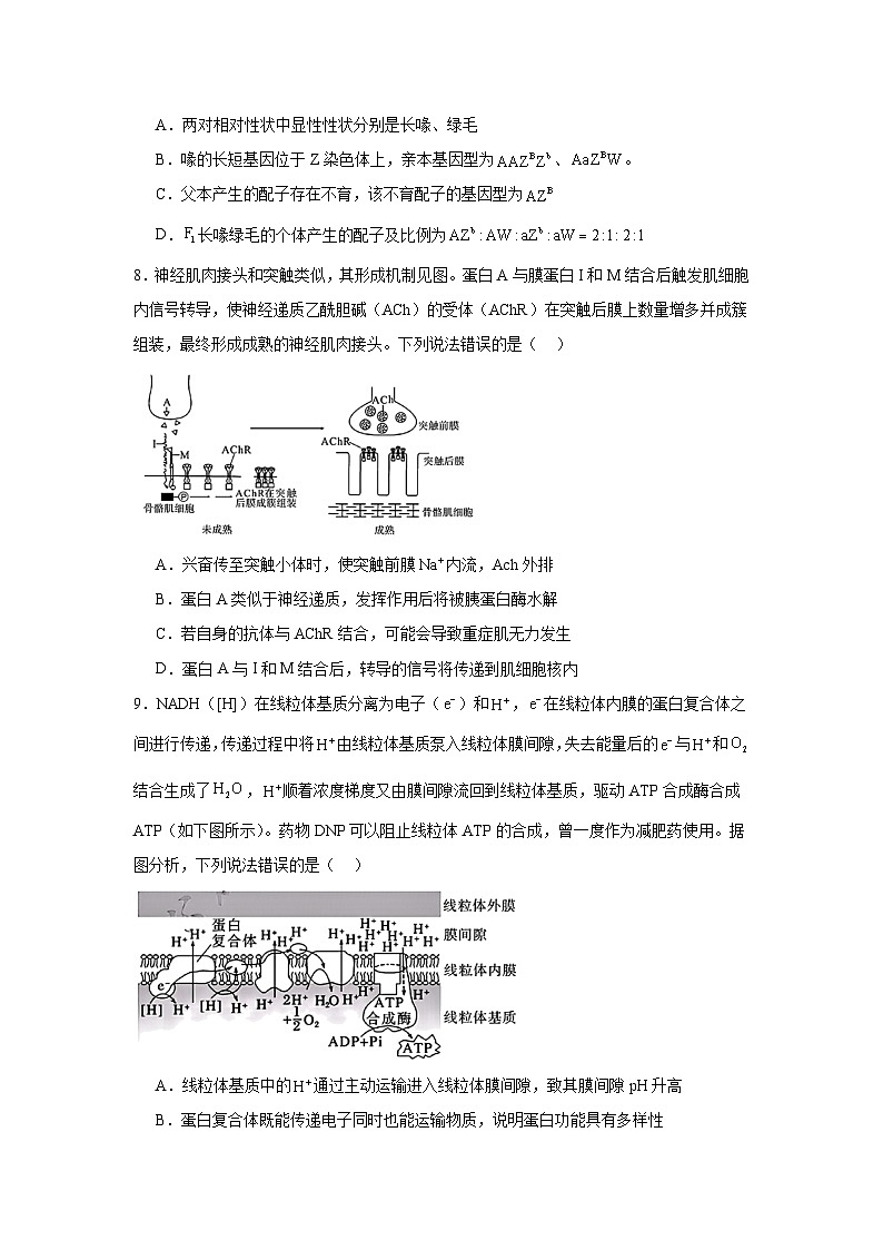 2025届四川省德阳市高三质量监测考试（二）生物试题第3页