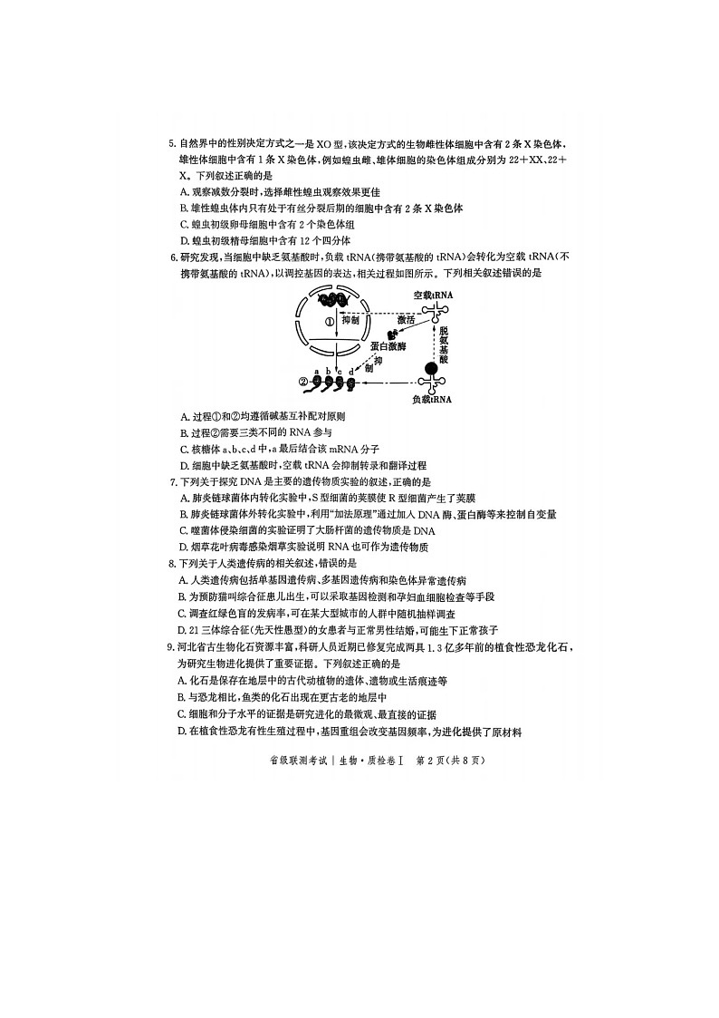 2024-2025学年下学期河北省2025届高三2月省级联测考试生物试卷含答案第2页