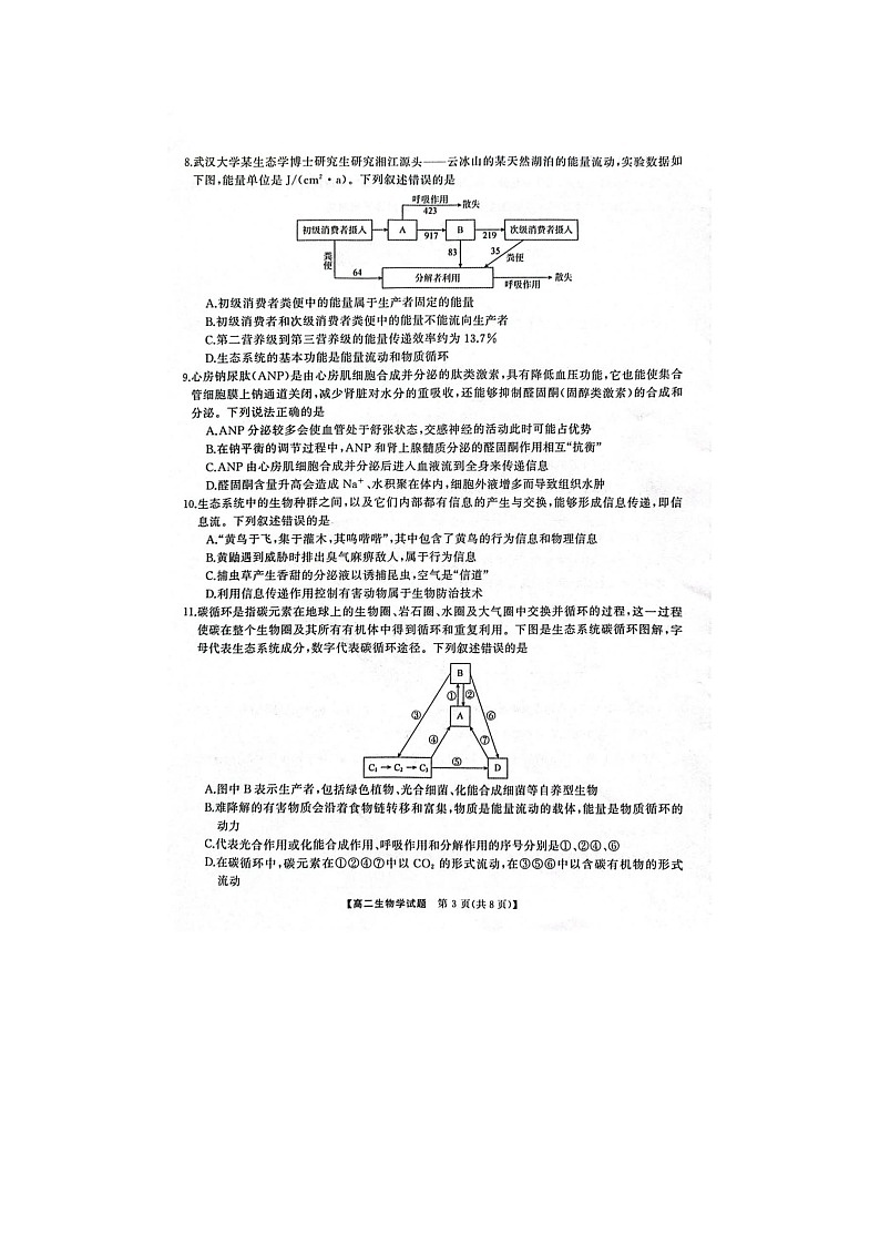 2024-2025学年上学期湖南省怀化市高二1月期末考试生物试卷含答案第3页