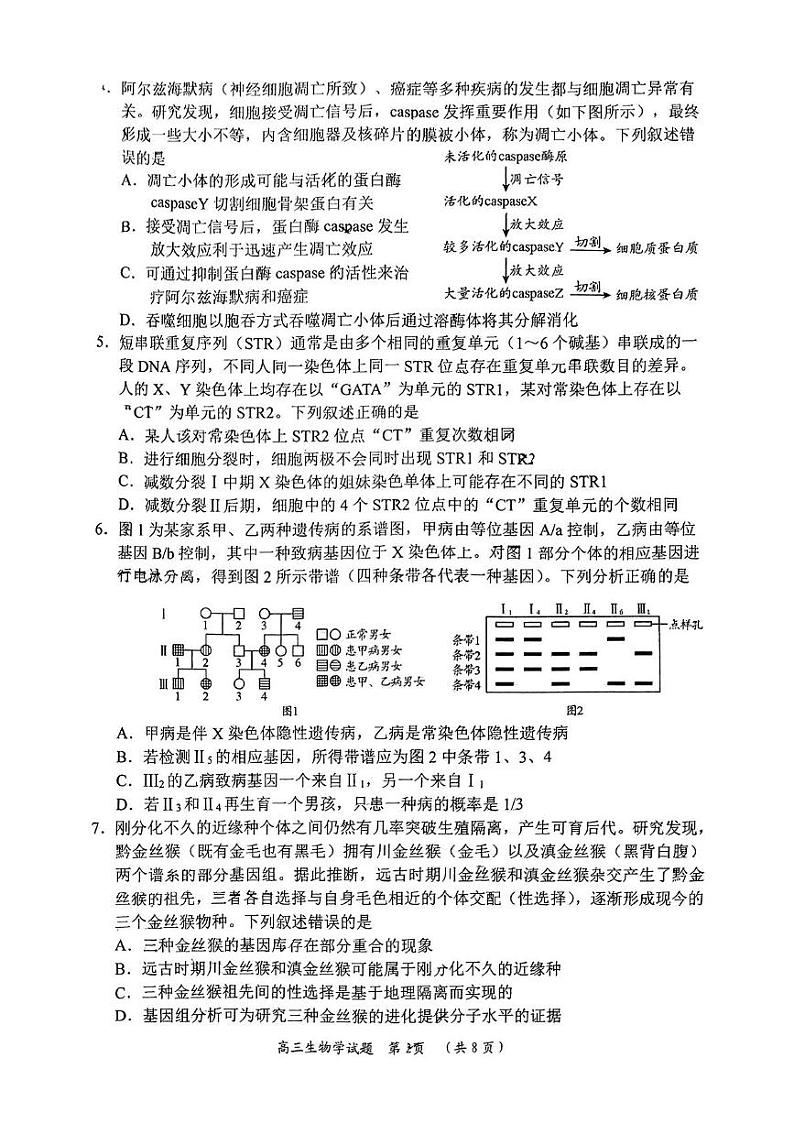 生物-2025届山东省日照市高三下学期校际联合考试(一模)第2页
