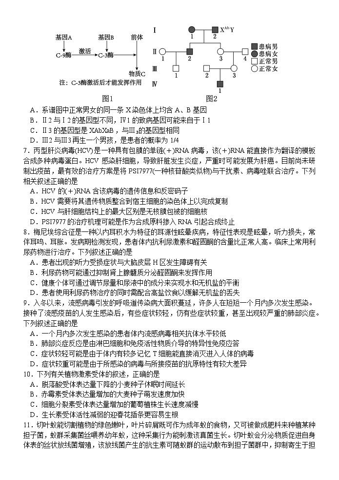 江苏省扬州中学2024-2025学年高三下学期2月月考生物试题+答案第2页