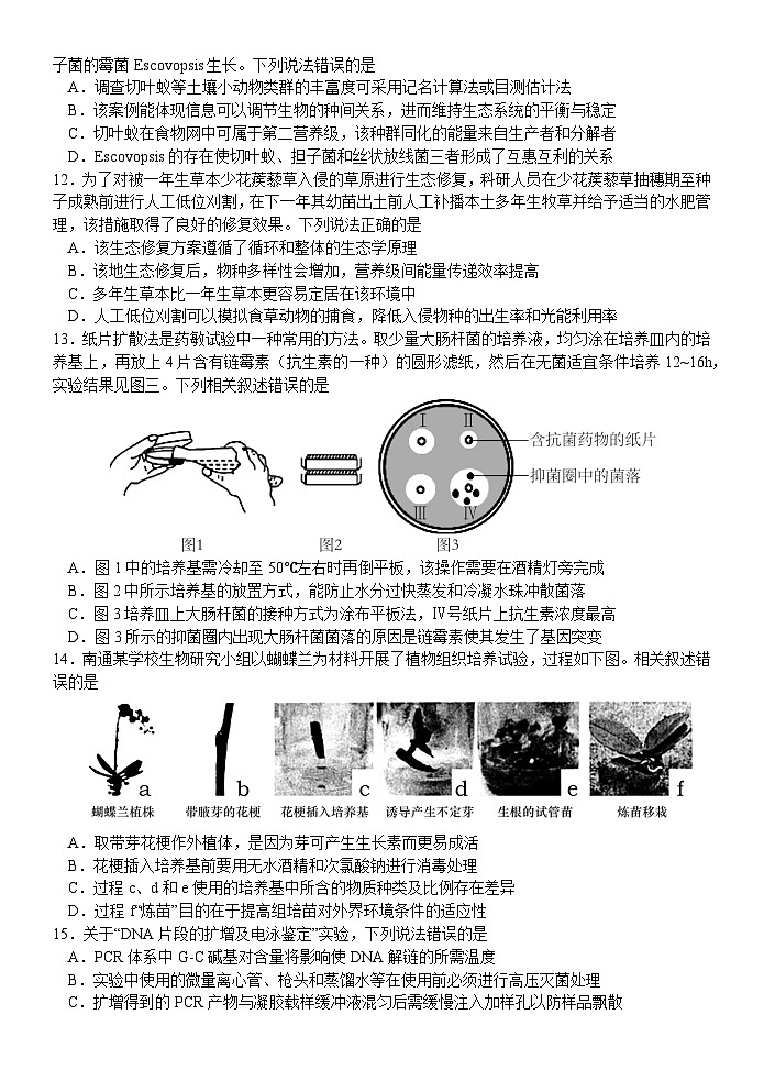 江苏省扬州中学2024-2025学年高三下学期2月月考生物试题+答案第3页