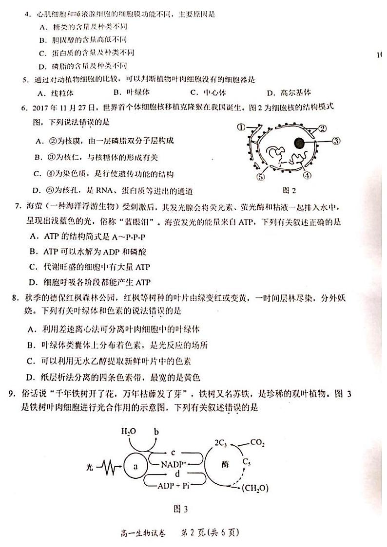 广西壮族自治区百色市2023_2024学年高一生物上学期期末考试pdf含解析第2页