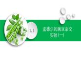 人教版（2019）高中生物必修二 第一章 第一节 孟德尔的豌豆杂交实验（一）课件ppt