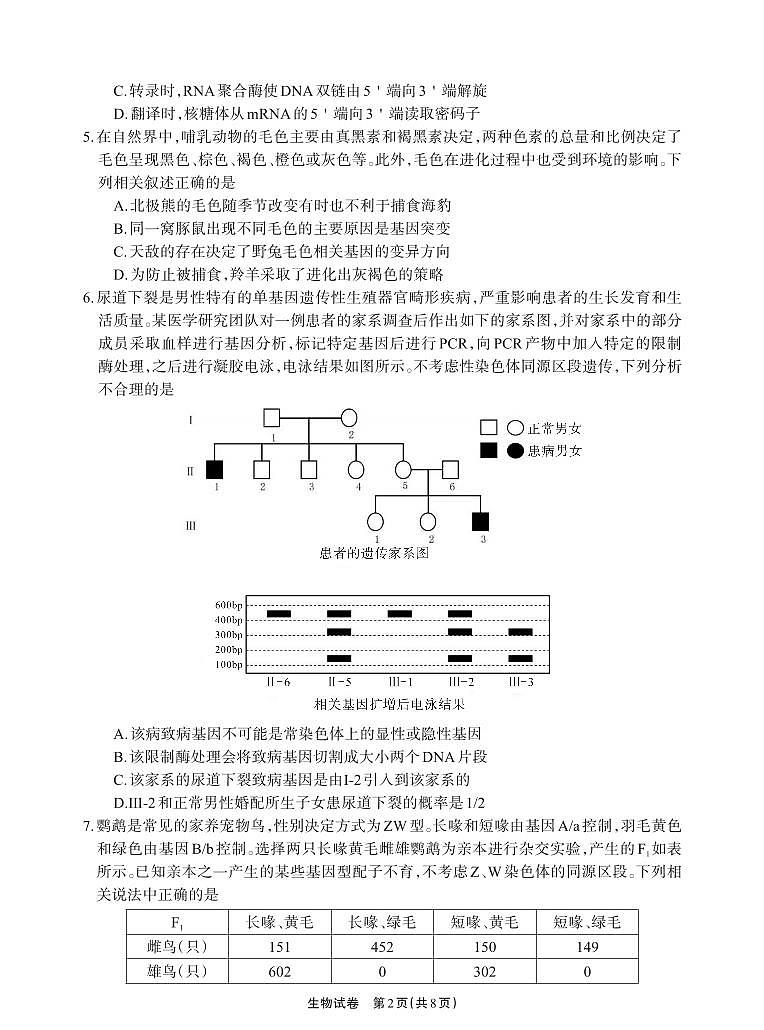 德阳市高中2022级高考模拟质量监测考试（二）生物+答案第2页