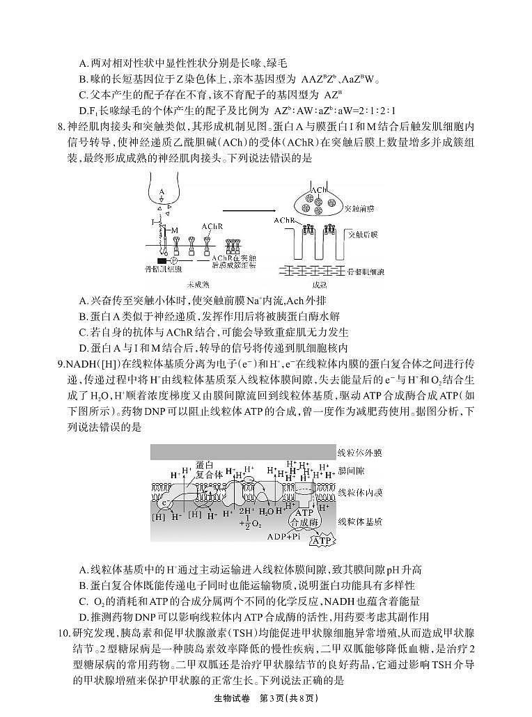 德阳市高中2022级高考模拟质量监测考试（二）生物+答案第3页