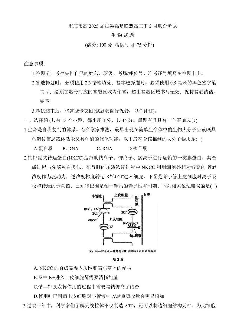 重庆拔尖强基联盟2025届高三下学期2月联考-生物试题+答案第1页