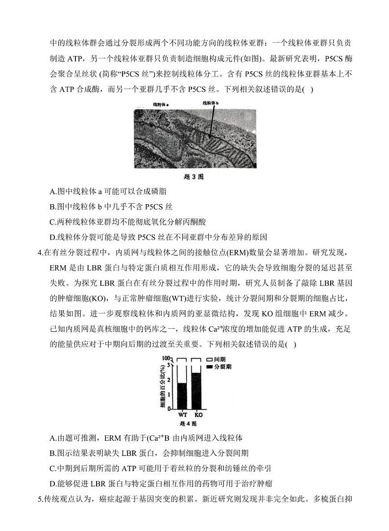 重庆拔尖强基联盟2025届高三下学期2月联考-生物试题+答案第2页