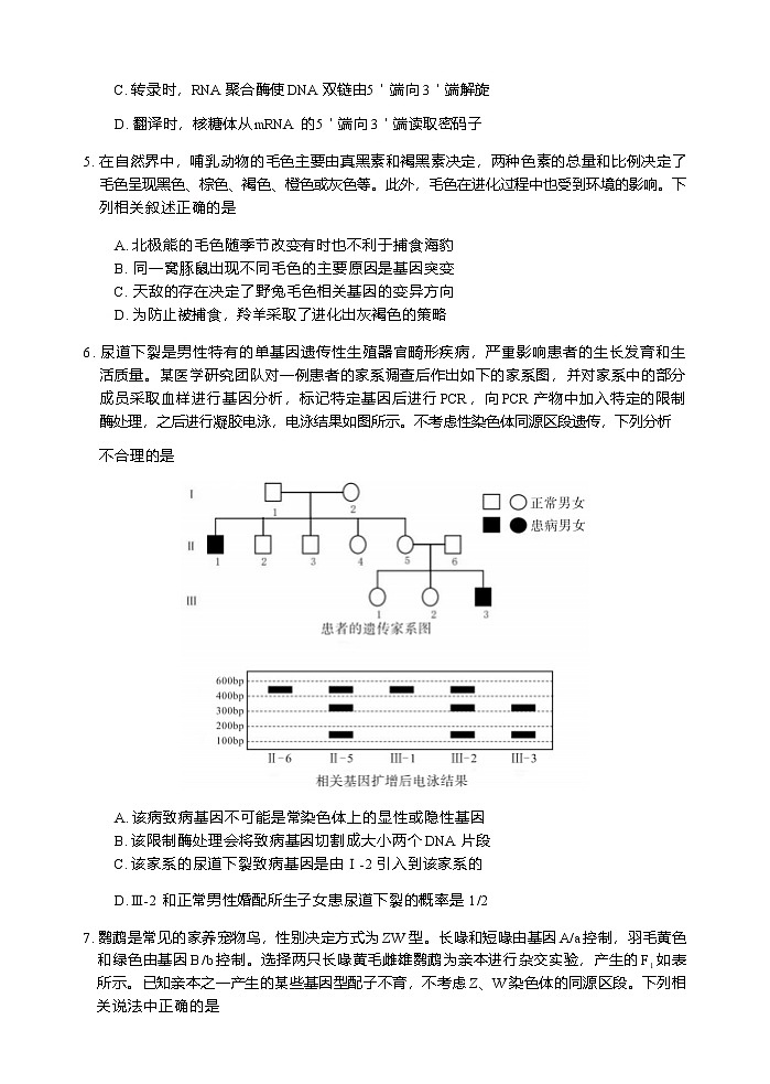 生物试卷            【四川卷】四川省德阳市高中2022级（2025届）高三质量监测考试（二）（德阳二诊）（2.21-2.23）第3页