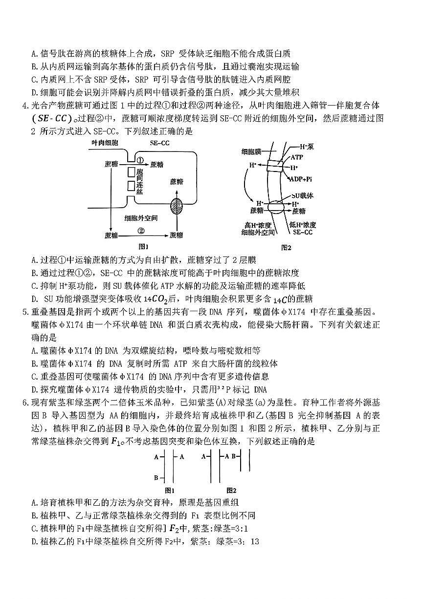 2025年天一高三下学期2月五联生物试题第2页