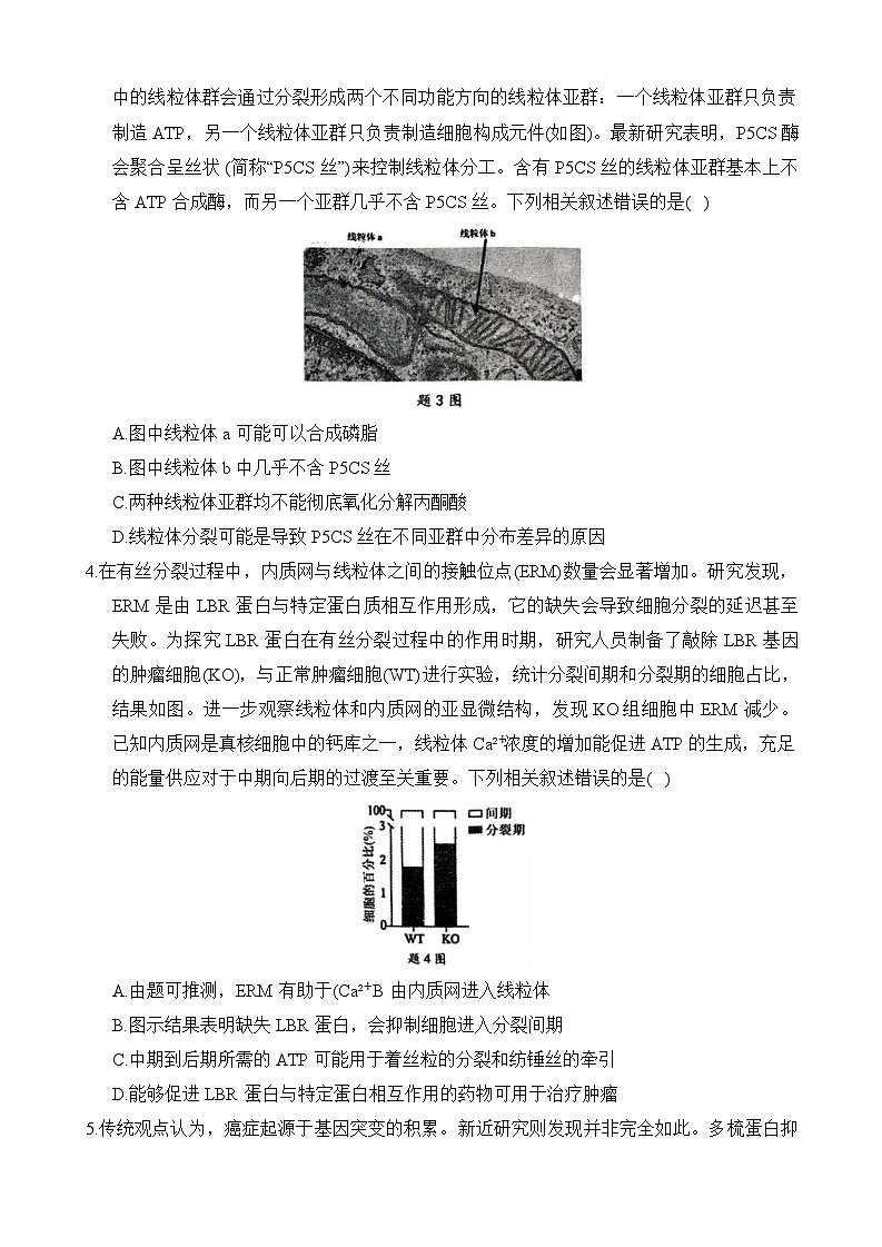 重庆市拔尖强基联盟2024-2025学年高三下学期2月月考生物试题第2页