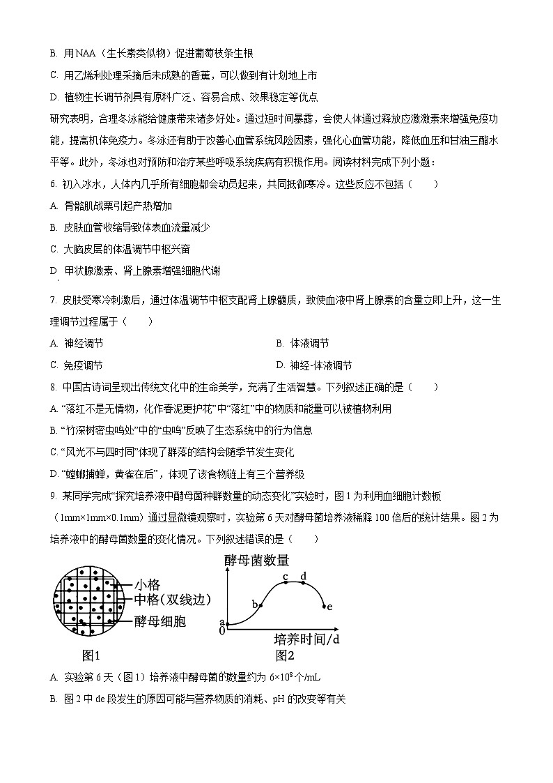 浙江省宁波市慈溪市2024-2025学年高二上学期期末考试生物试卷  Word版无答案第2页