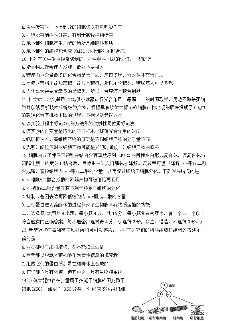 生物试卷（附中高一入学2期）第3页