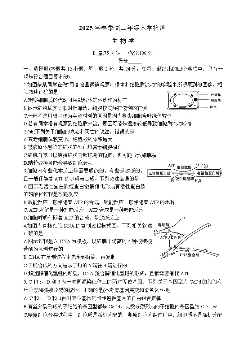 湖南省长沙市宁乡市名校联合2024-2025学年高二下学期开学考试生物试题第1页