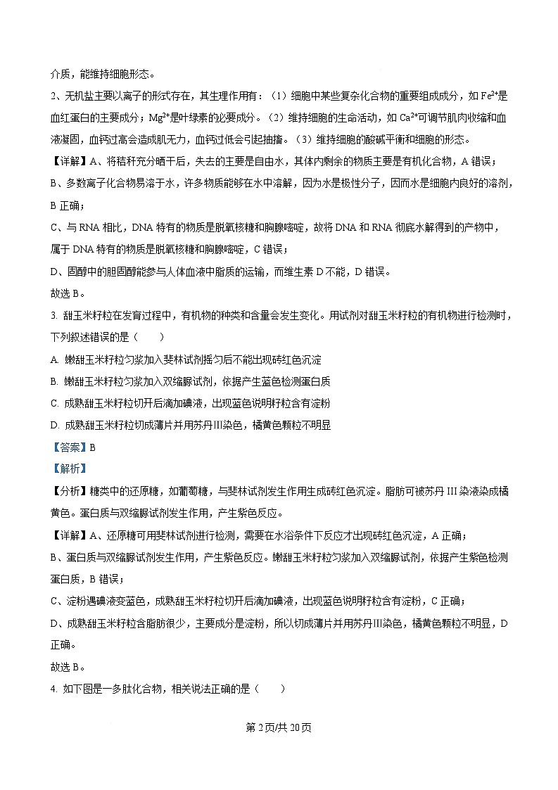 湖南省长沙市芙蓉区名校联合体2024-2025学年高一下学期开学生物试卷（Word版附解析）第2页