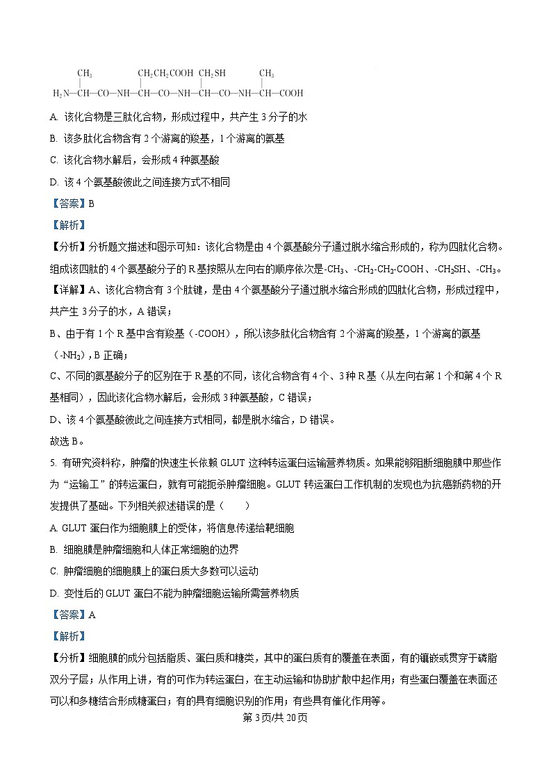 湖南省长沙市芙蓉区名校联合体2024-2025学年高一下学期开学生物试卷（Word版附解析）第3页
