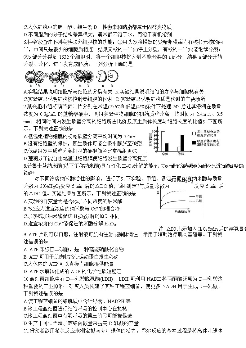 湖南省名校联盟2024-2025学年高一下学期开学质量检测生物试卷（Word版附解析）第2页
