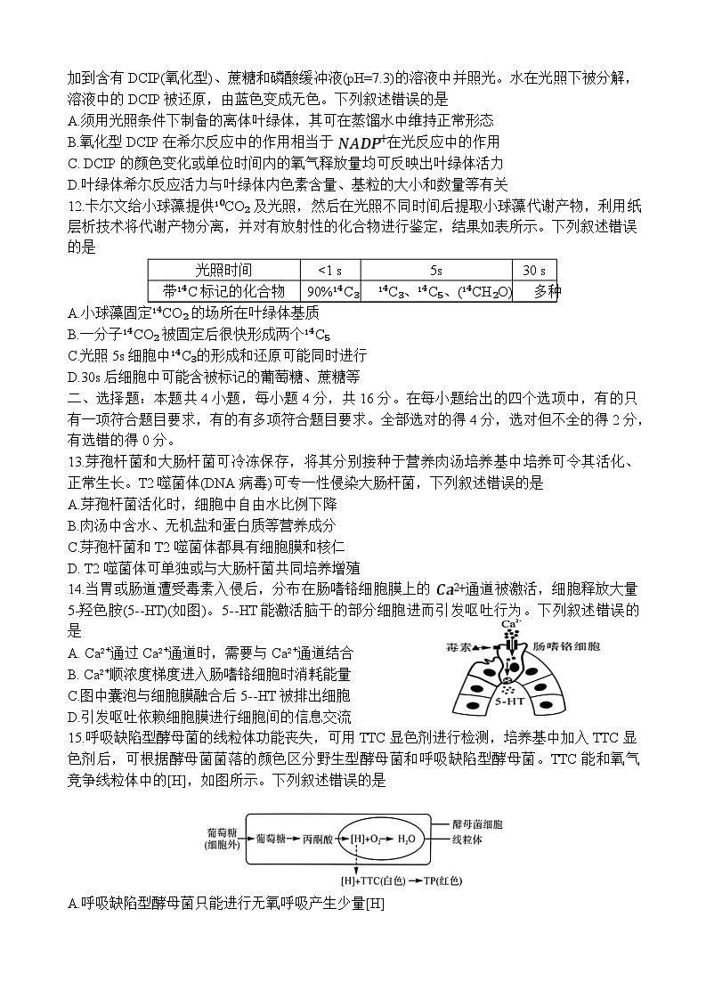湖南省名校联盟2024-2025学年高一下学期开学质量检测生物试卷（Word版附解析）第3页
