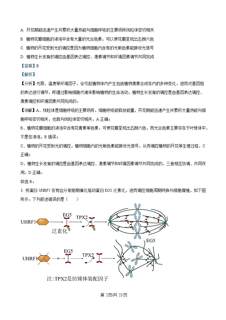 湖南省多校联考2024-2025学年高三下学期2月联考生物试卷（Word版附解析）第2页