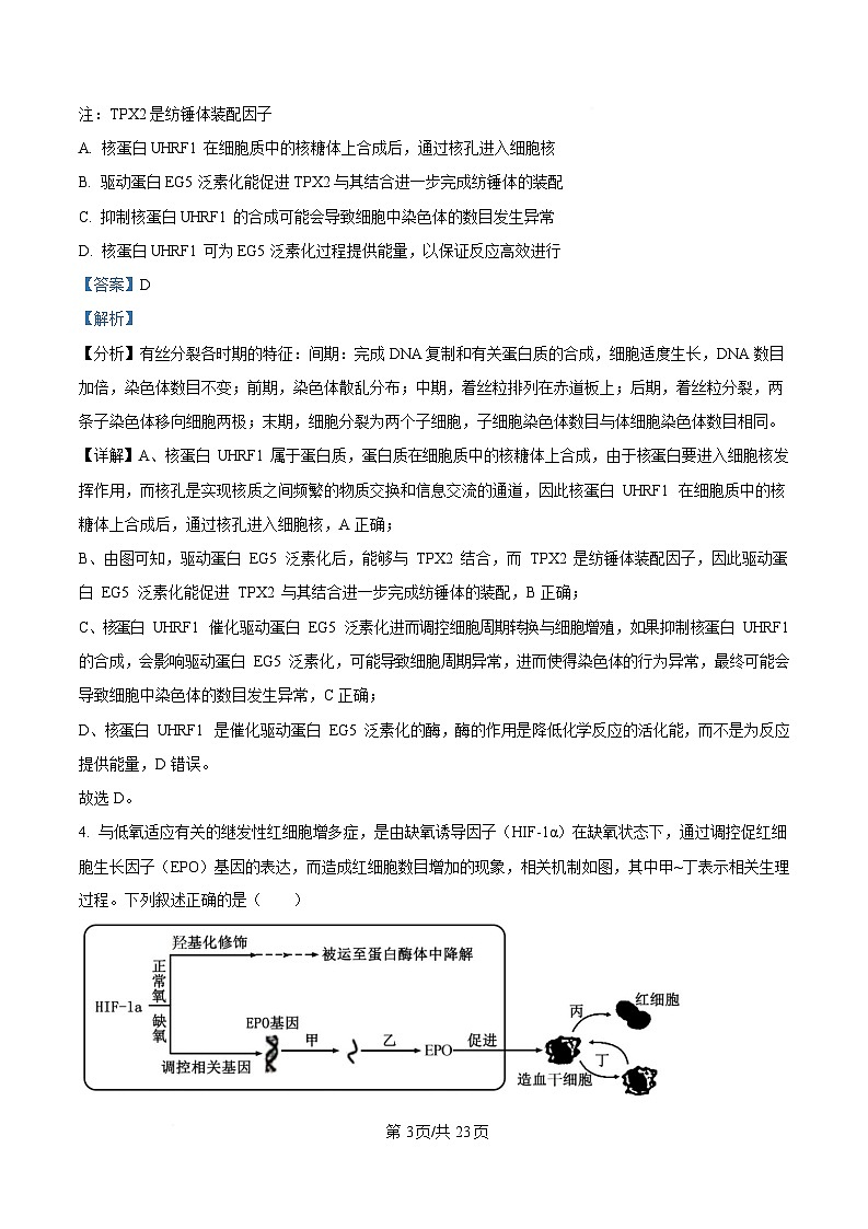 湖南省多校联考2024-2025学年高三下学期2月联考生物试卷（Word版附解析）第3页