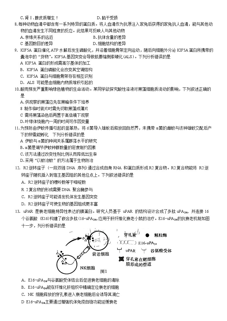 广东省汕头市2024-2025学年高三下学期第一次模拟考试生物试卷（Word版附答案）第2页