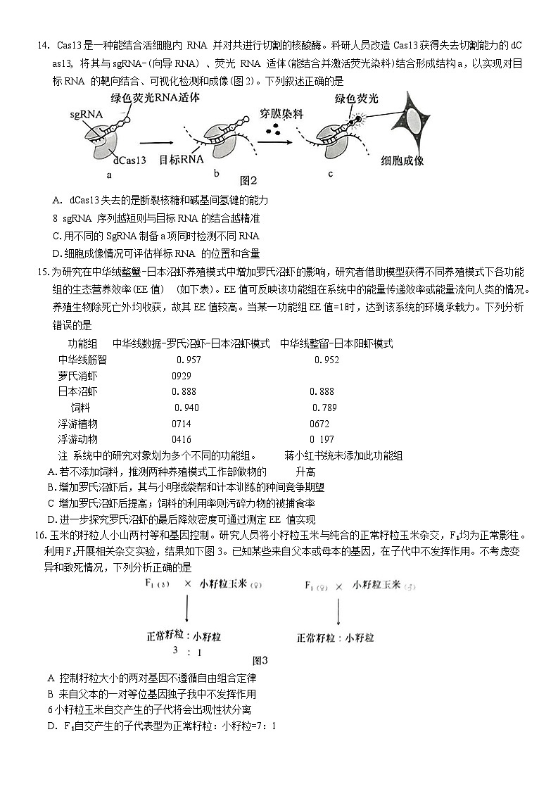 广东省汕头市2024-2025学年高三下学期第一次模拟考试生物试卷（Word版附答案）第3页